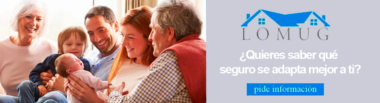 seguros consulta - Seguros